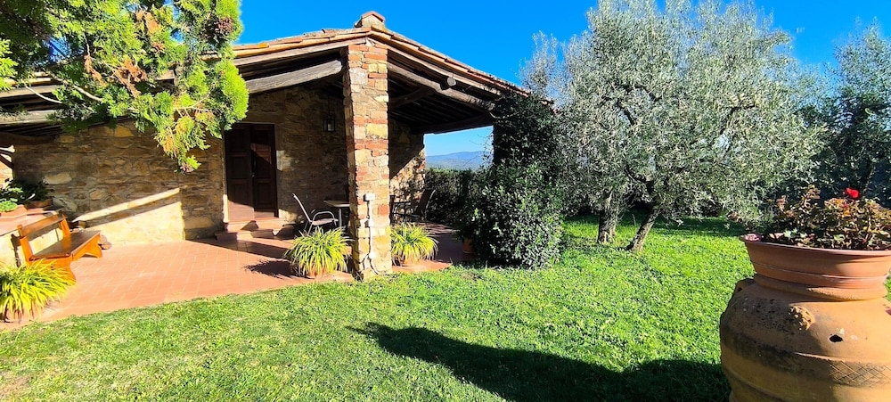 Farmhouse in Tuscany With Olive Grove Views