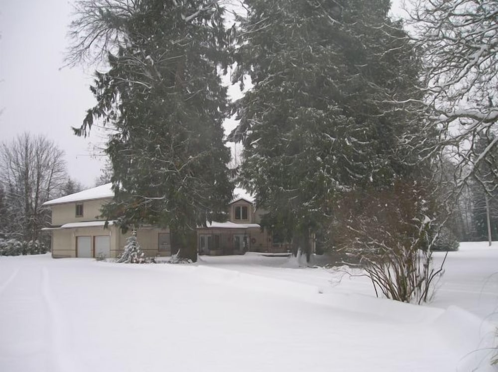 Cedar Wood Lodge B&B