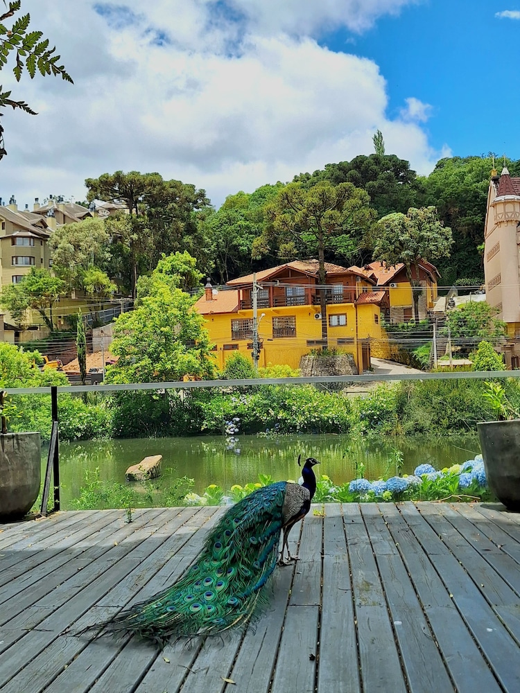 Hilltop Chalés Gramado