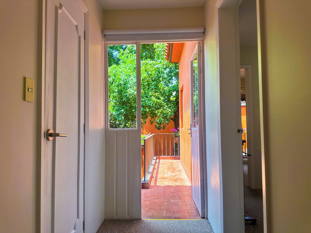 Casita in Coyoacan Comfort and Location photo 3