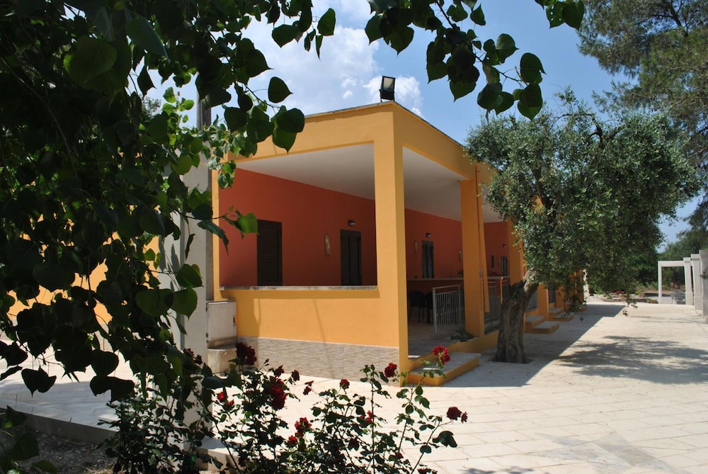 Photo 19