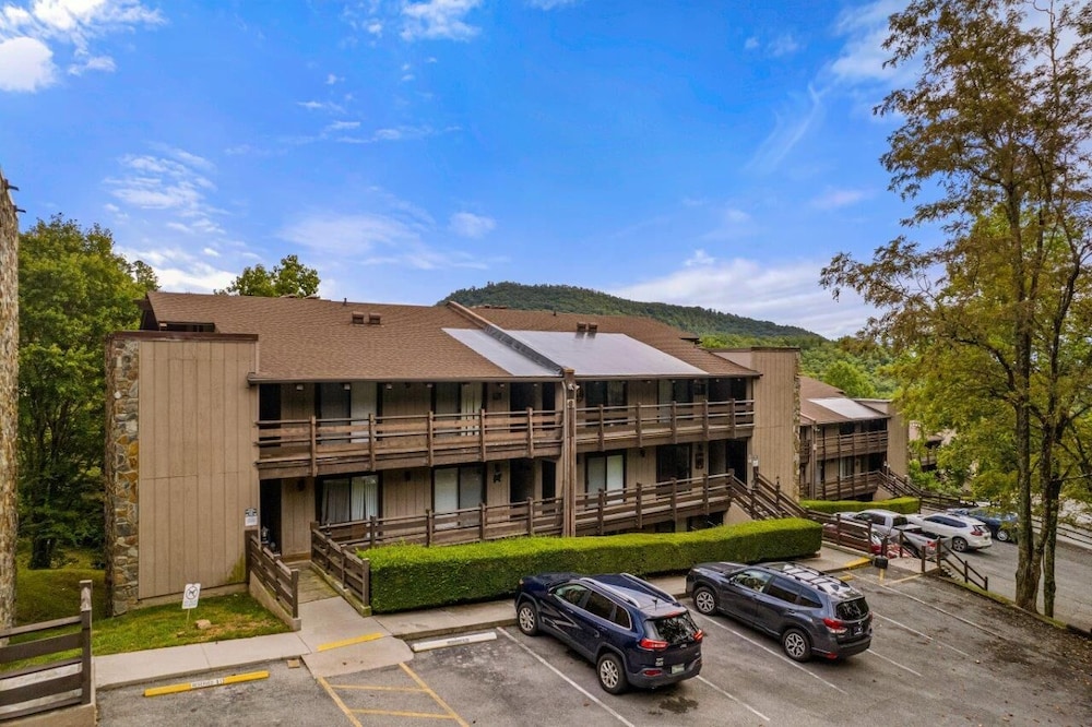 Hotel Bearadise Mountain Getaway - Image 1