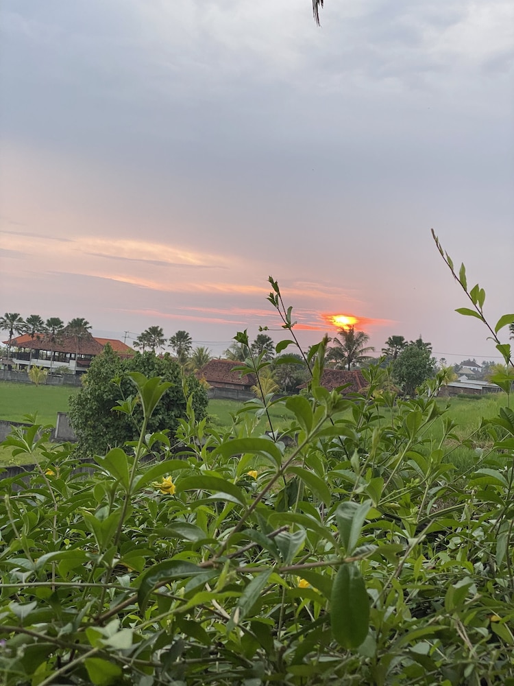 Dikaloha Medewi Surfcamp
