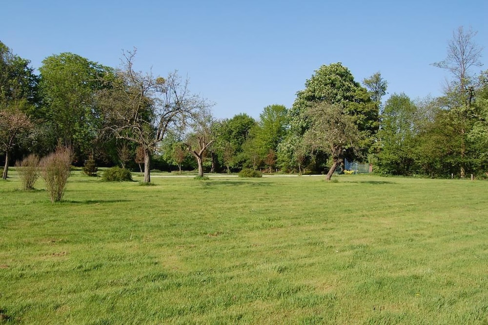 Manoir De La Plane B&B view 5