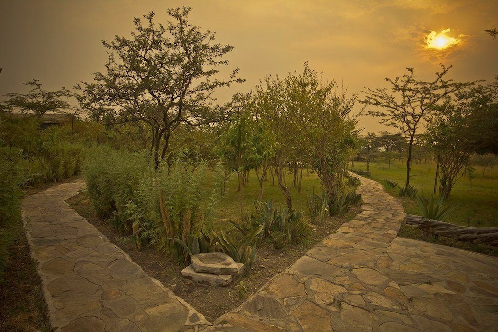 Photo 39