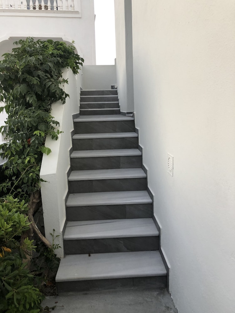 Dragonfly Villas photo 3