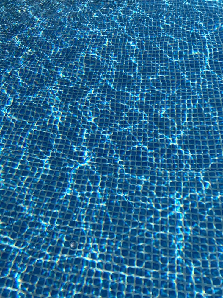 Flo  Marc les hotes de Chouzy-sur-Cisse - Property Image 21