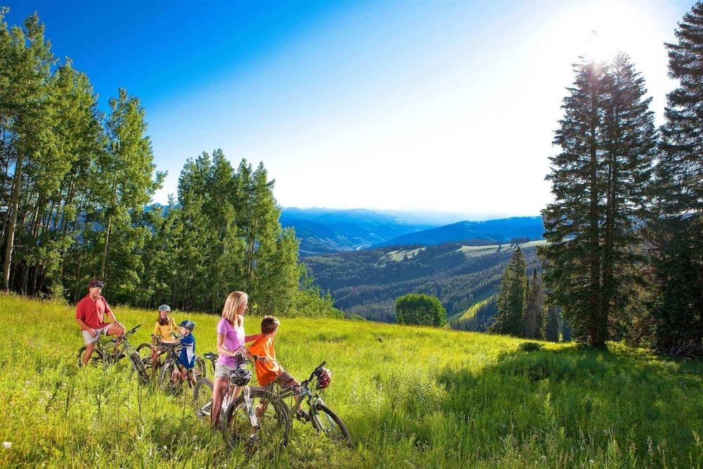 Beaver_creek_chalet_verve