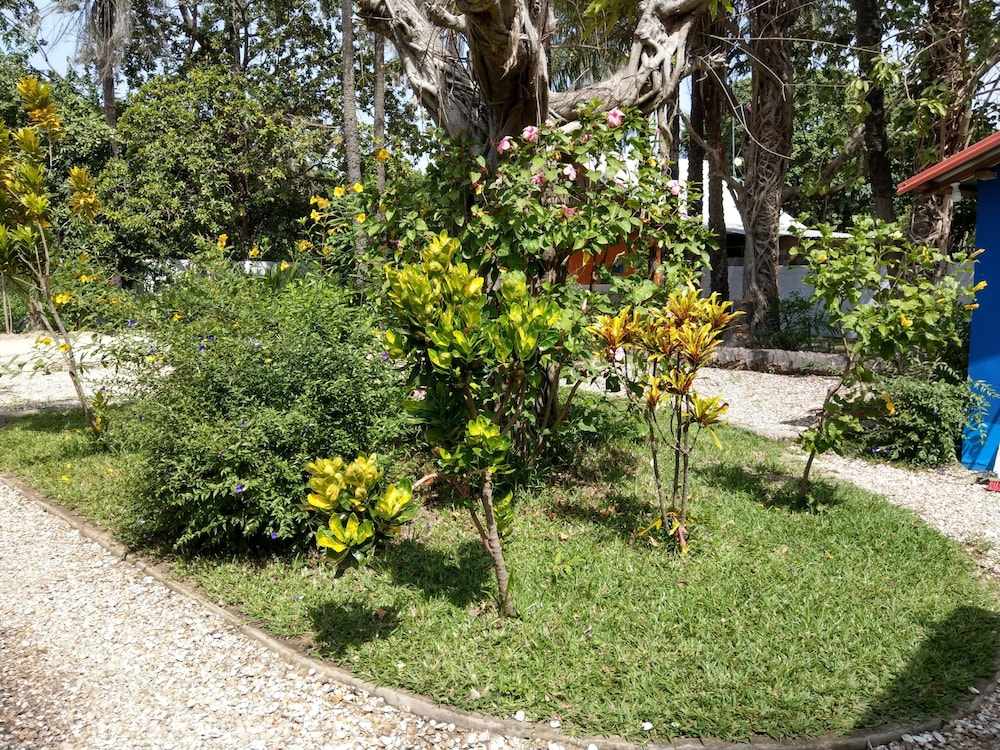 Photo 41