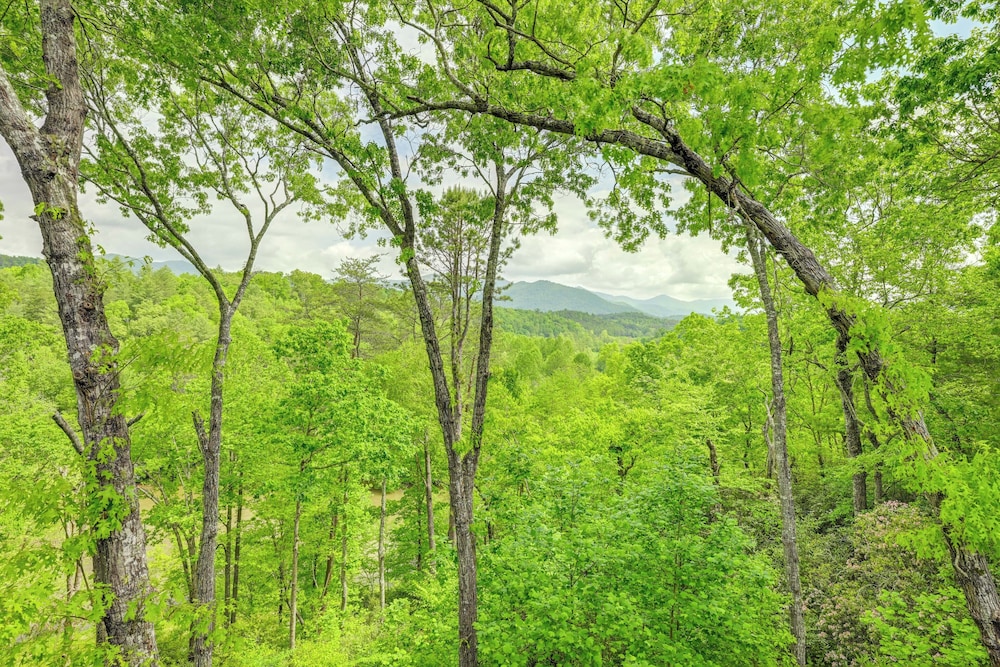 Game Room, Hot Tub & Decks: Scenic Franklin Cabin
