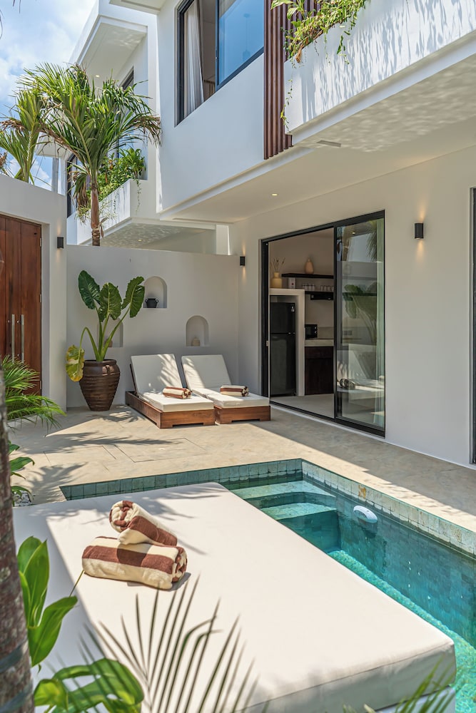 Nova Oasis 4