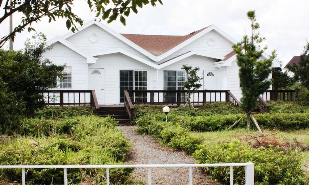 Sharon's House