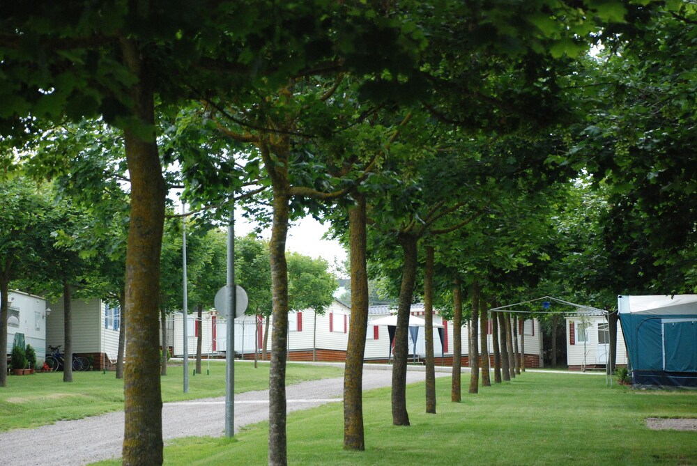 Camping Lluçanés