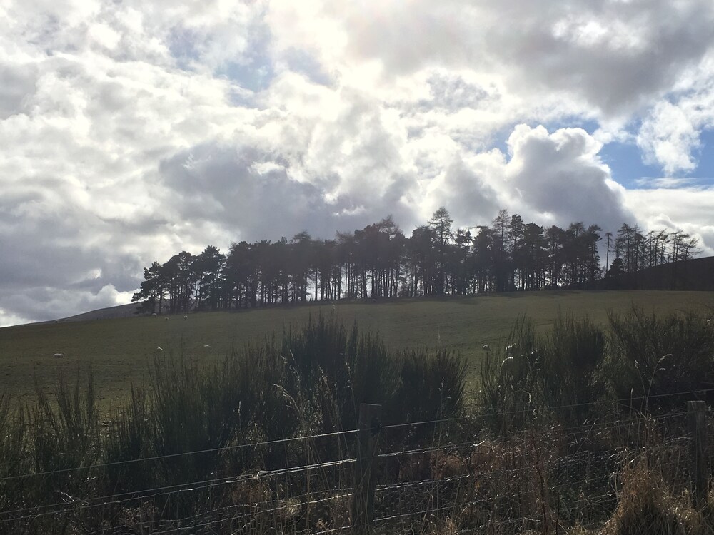 Hillside Havens