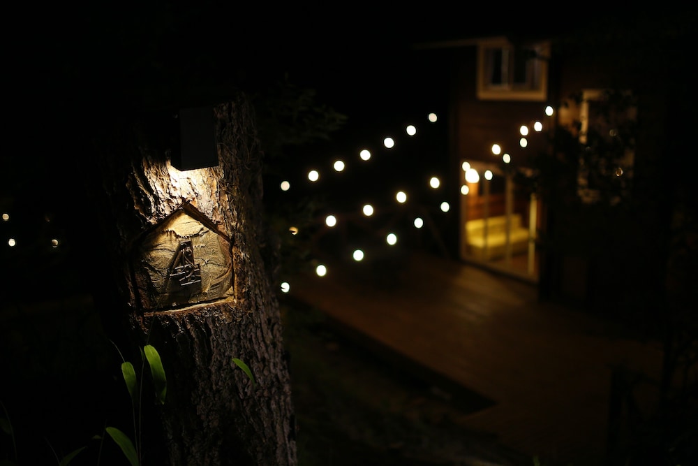 Photo 48