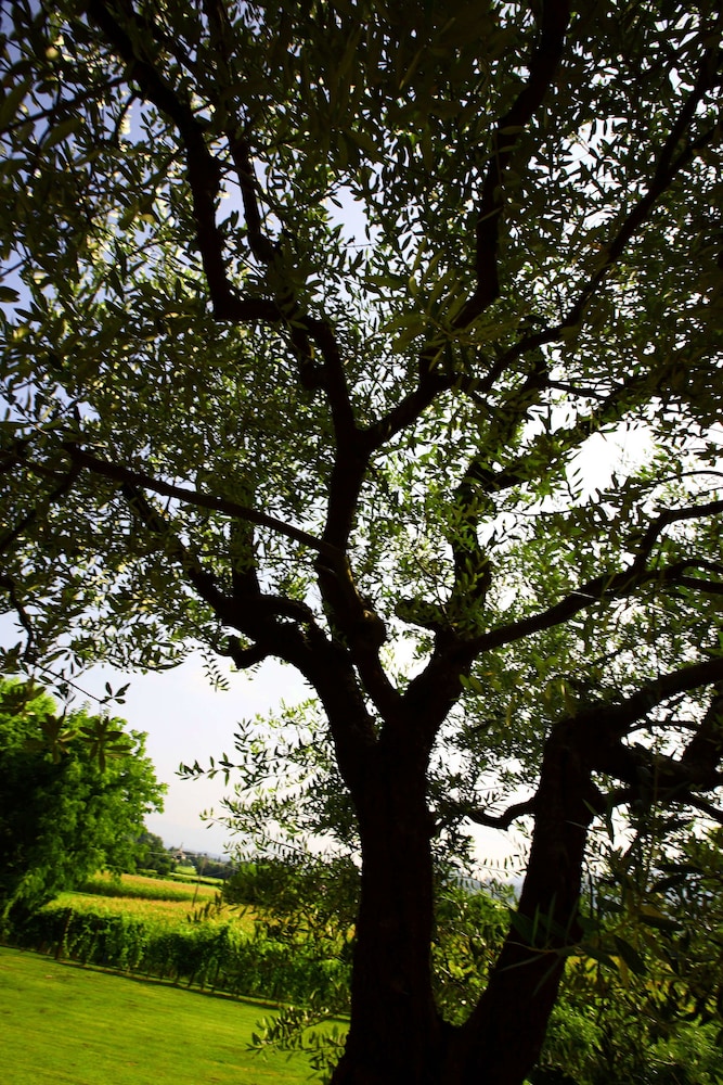 Country House Barone d’Asolo
