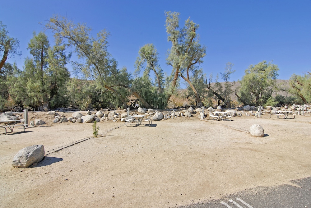 Palm Canyon Hotel & RV Resort