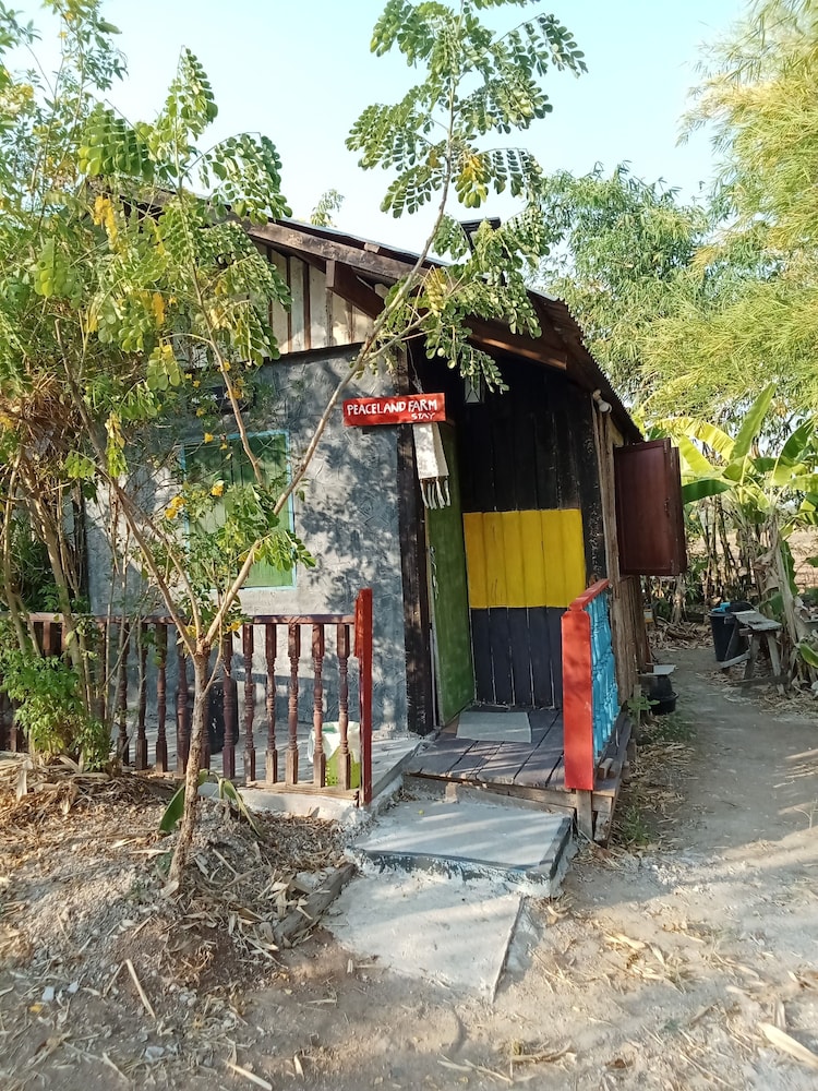Photo 45