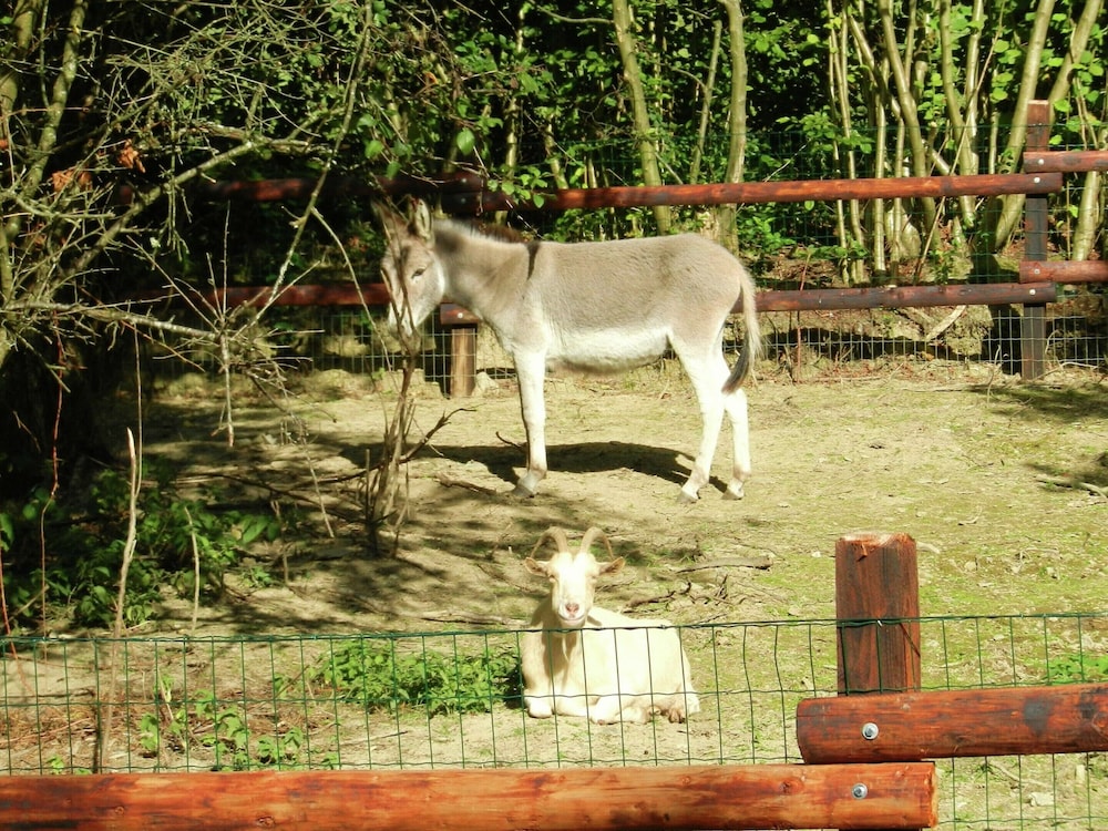 Photo 52