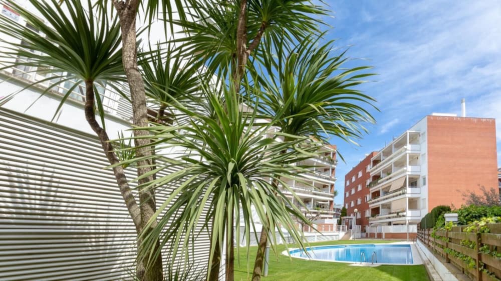 Kistars 2 in Lloret de Mar