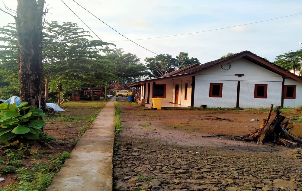 Photo 22