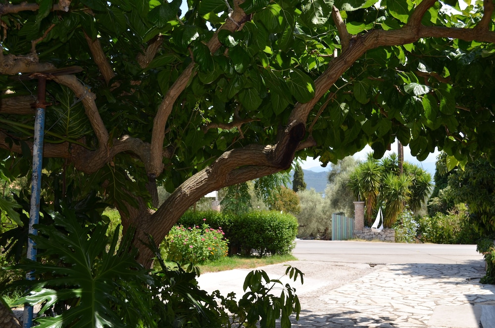Photo 21