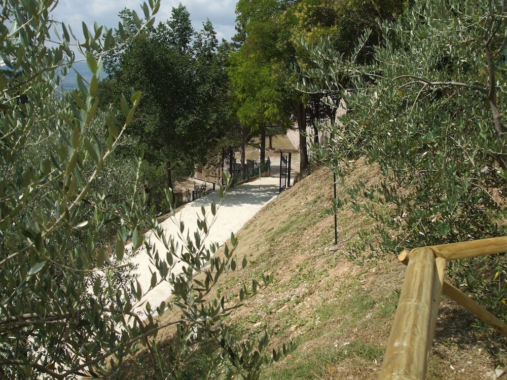 Camere Ramaccia