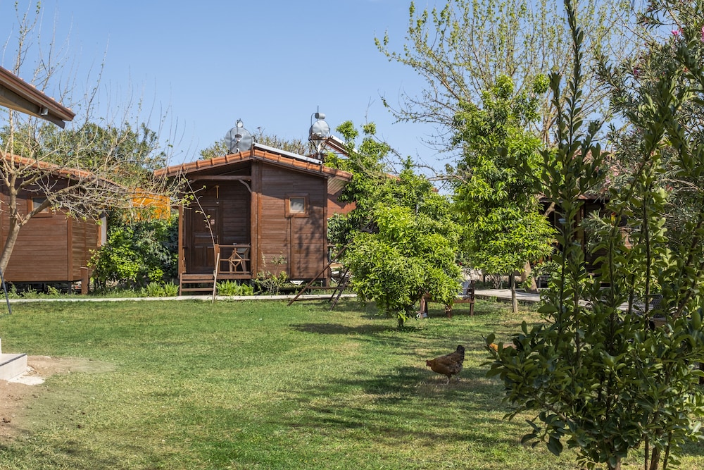 La Maison Hotel Çıralı view 5