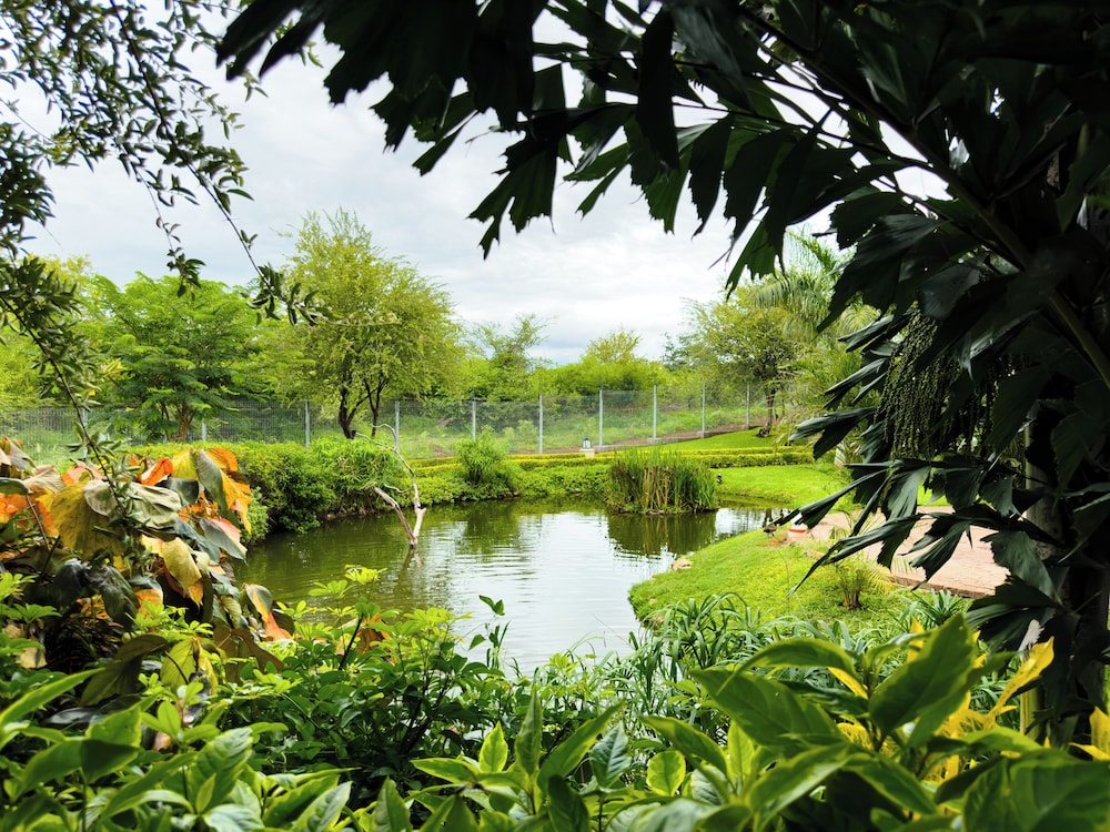 Shearwater Explorers Village