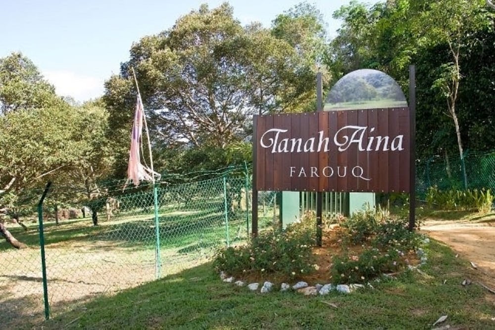 Tanah Aina Farouq photo 6