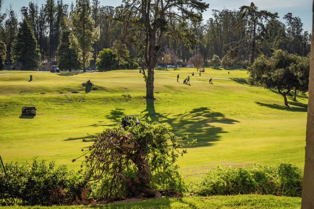 The Fairways