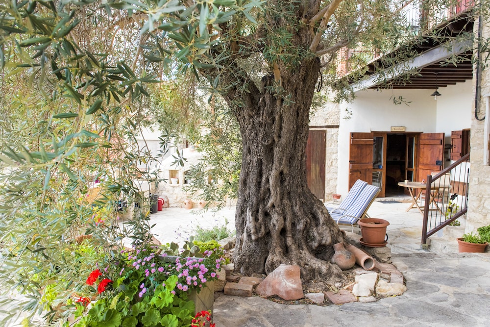 Vouni Lodge