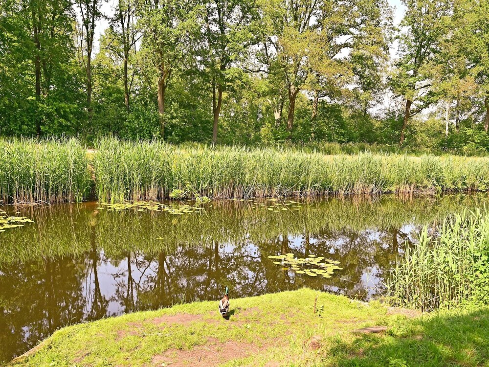 Photo 34