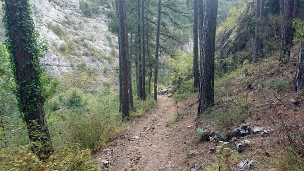 Photo 10
