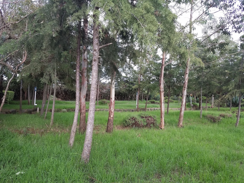 Triple Eden Naivasha Hotel