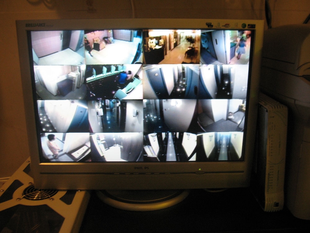 Photo 7