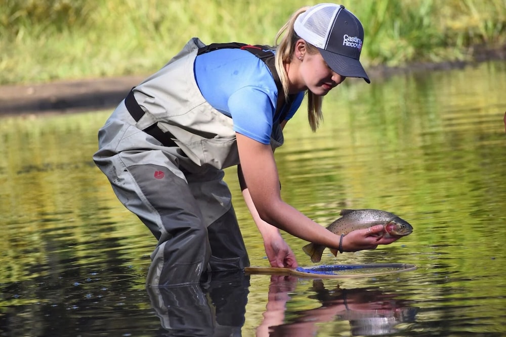 Deer View - Property Image 10