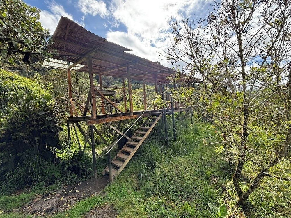 Cabañas Tamiaju