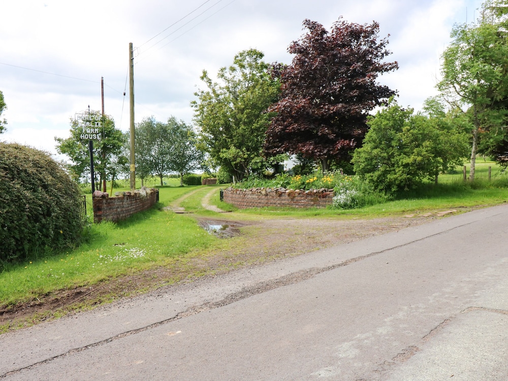 Brae of Airlie Farm