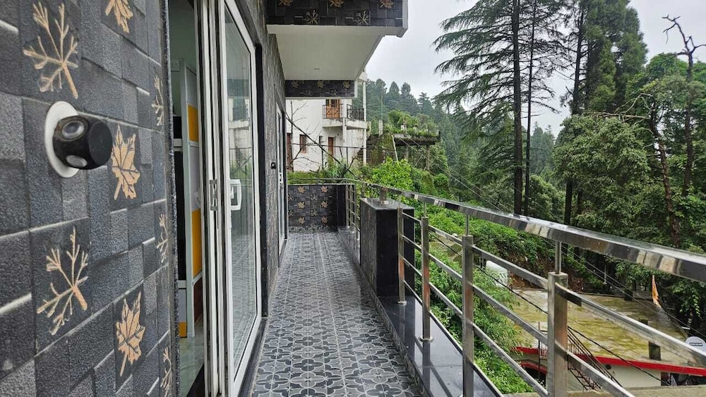 Camel S Backpackers Hostel
