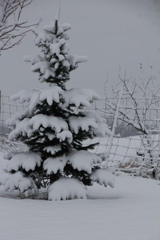 Golden Pathways Retreat and B&B