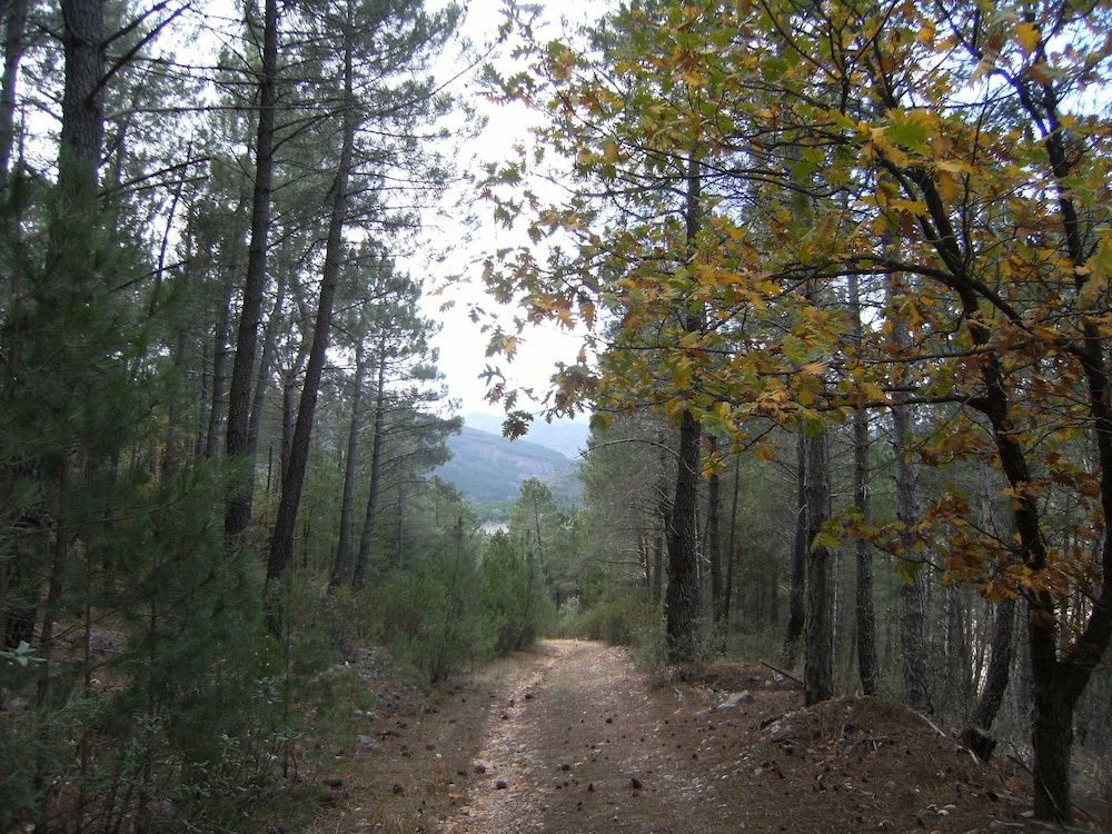 La Vereda de Puebla
