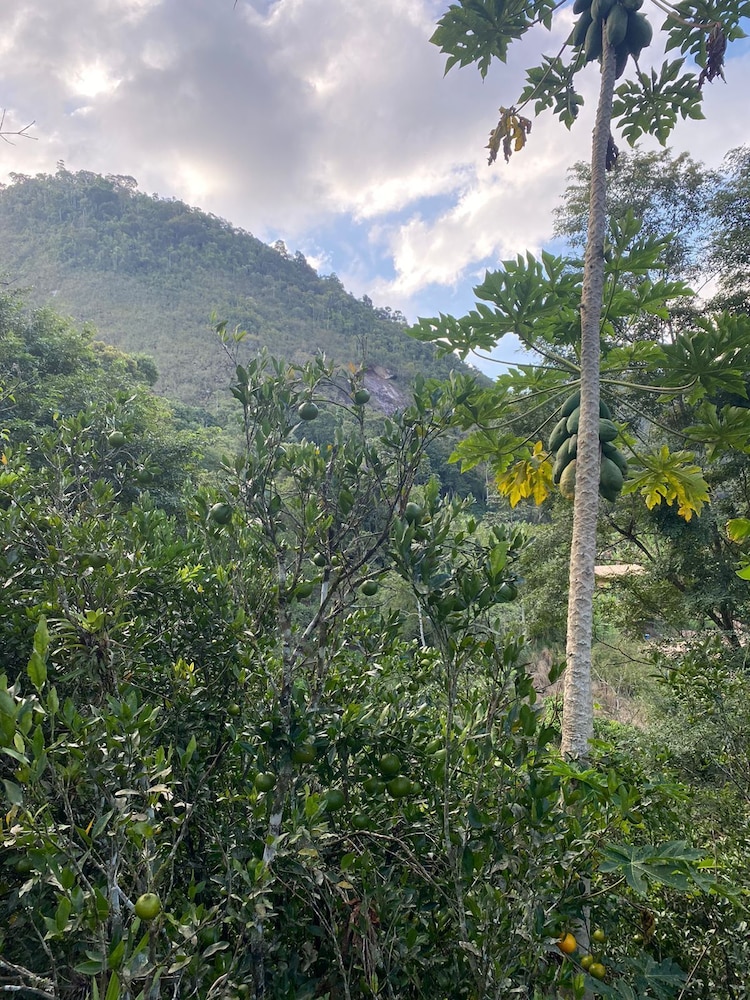 Sítio & Hospedagem Vistas de São Pedro