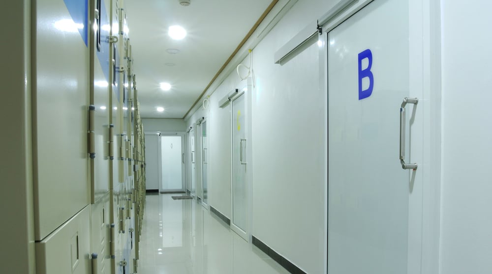 Express Hostel