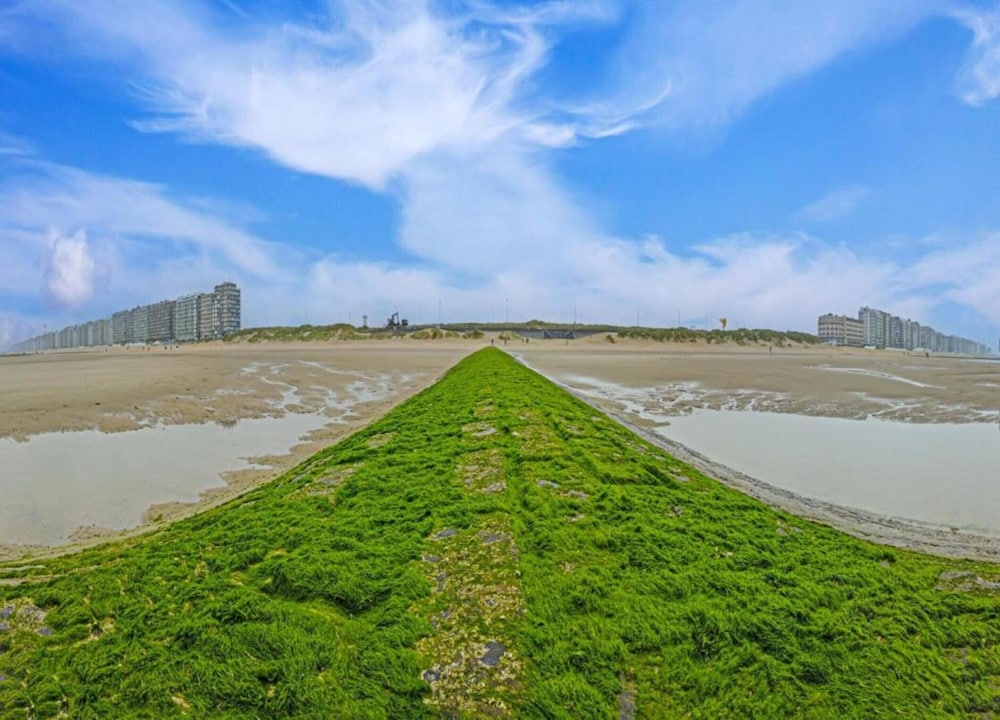 Apartment Near the Beach in Vibrant Area