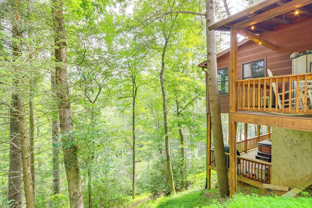 Pet-friendly Resort Cabin 5 Mi to Dtwn Ellijay!