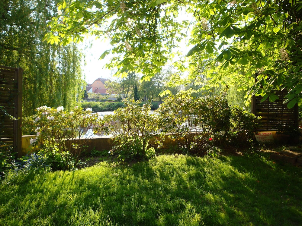 Photo 38