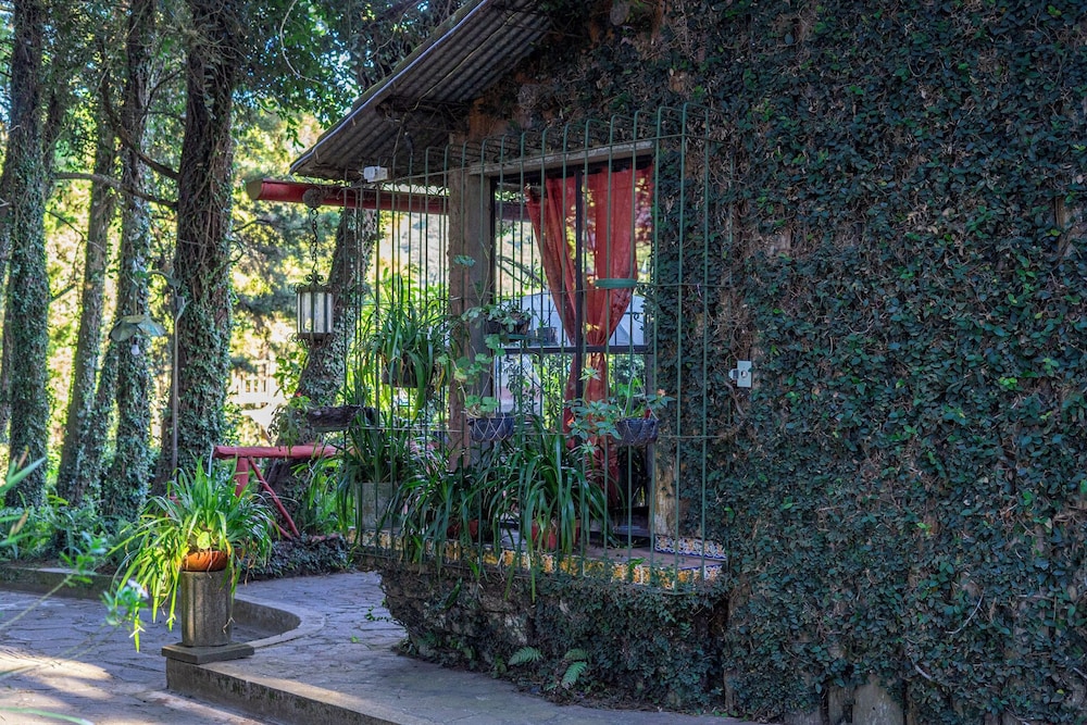 Los Naranjos Town Houses