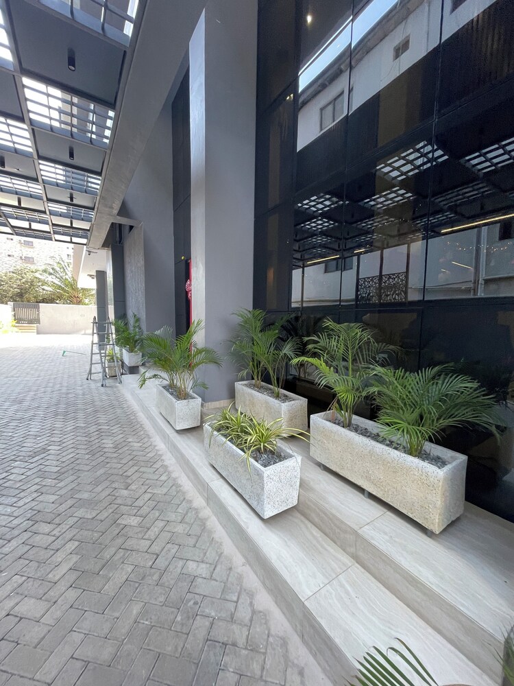 Bravia Apartment