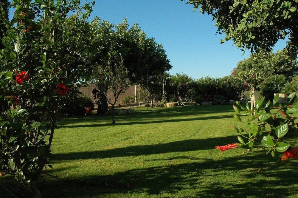 Alimede Ecodimora